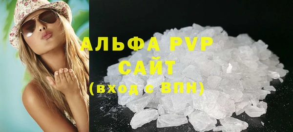 прущий лед Богданович